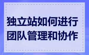 独立站如何进行团队管理和协作