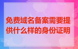 免费域名备案需要提供什么样的身份证明