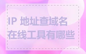 IP 地址查域名在线工具有哪些