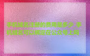 手机域名注册的费用是多少_手机域名可以绑定在公众号上吗