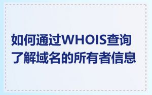 如何通过WHOIS查询了解域名的所有者信息