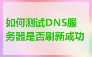 如何测试DNS服务器是否刷新成功