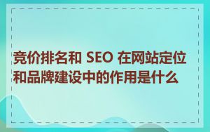 竞价排名和 SEO 在网站定位和品牌建设中的作用是什么