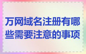 万网域名注册有哪些需要注意的事项