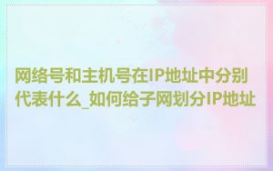网络号和主机号在IP地址中分别代表什么_如何给子网划分IP地址
