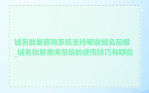 域名批量查询系统支持哪些域名后缀_域名批量查询系统的使用技巧有哪些