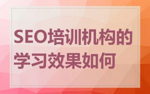 SEO培训机构的学习效果如何