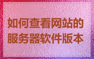 如何查看网站的服务器软件版本