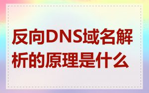 反向DNS域名解析的原理是什么