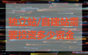 独立站/自建站需要投资多少资金