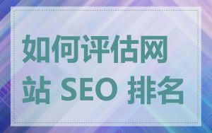 如何评估网站 SEO 排名