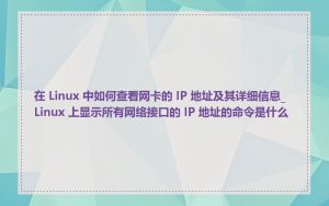 在 Linux 中如何查看网卡的 IP 地址及其详细信息_Linux 上显示所有网络接口的 IP 地址的命令是什么