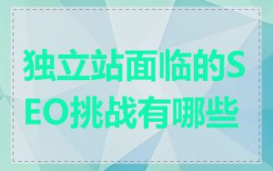 独立站面临的SEO挑战有哪些