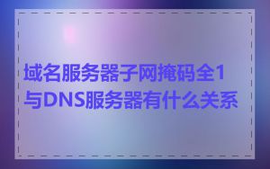 域名服务器子网掩码全1与DNS服务器有什么关系