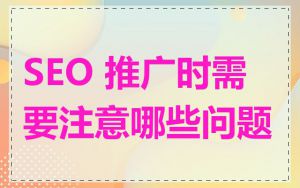 SEO 推广时需要注意哪些问题