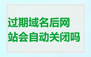 过期域名后网站会自动关闭吗