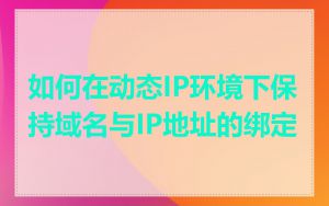 如何在动态IP环境下保持域名与IP地址的绑定