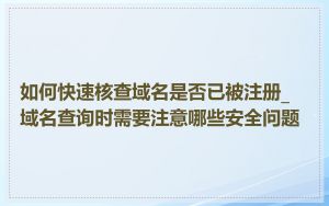 如何快速核查域名是否已被注册_域名查询时需要注意哪些安全问题