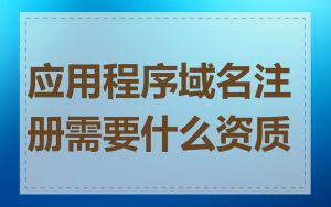 应用程序域名注册需要什么资质