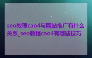 seo教程cao4与网站推广有什么关系_seo教程cao4有哪些技巧