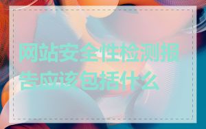 网站安全性检测报告应该包括什么