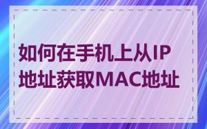 如何在手机上从IP地址获取MAC地址
