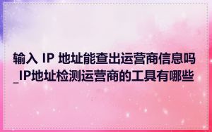 输入 IP 地址能查出运营商信息吗_IP地址检测运营商的工具有哪些