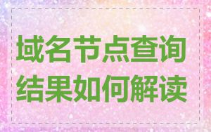 域名节点查询结果如何解读