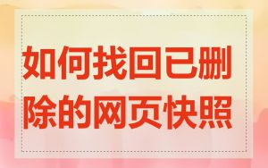 如何找回已删除的网页快照