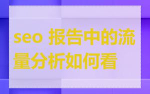 seo 报告中的流量分析如何看