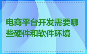 电商平台开发需要哪些硬件和软件环境