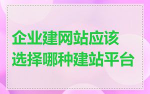企业建网站应该选择哪种建站平台