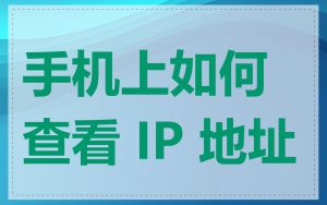 手机上如何查看 IP 地址