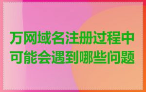 万网域名注册过程中可能会遇到哪些问题