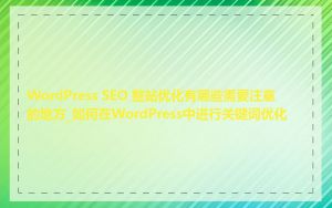 WordPress SEO 整站优化有哪些需要注意的地方_如何在WordPress中进行关键词优化