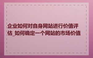 企业如何对自身网站进行价值评估_如何确定一个网站的市场价值