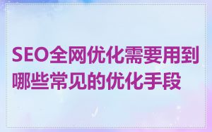 SEO全网优化需要用到哪些常见的优化手段