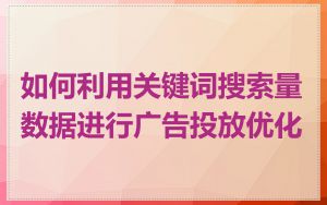 如何利用关键词搜索量数据进行广告投放优化