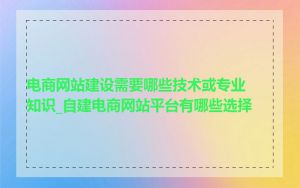 电商网站建设需要哪些技术或专业知识_自建电商网站平台有哪些选择
