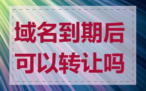 域名到期后可以转让吗