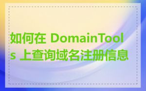 如何在 DomainTools 上查询域名注册信息