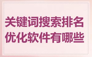关键词搜索排名优化软件有哪些
