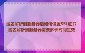 域名解析到服务器后如何设置SSL证书_域名解析到服务器需要多长时间生效