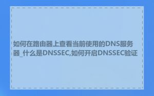 如何在路由器上查看当前使用的DNS服务器_什么是DNSSEC,如何开启DNSSEC验证