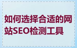 如何选择合适的网站SEO检测工具