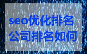 seo优化排名公司排名如何