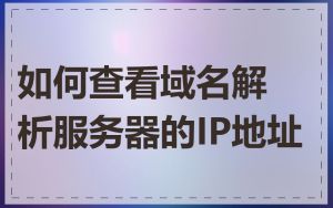 如何查看域名解析服务器的IP地址