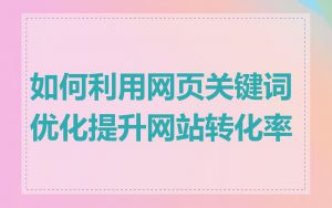 如何利用网页关键词优化提升网站转化率