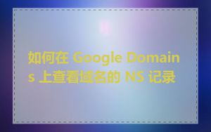 如何在 Google Domains 上查看域名的 NS 记录