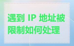遇到 IP 地址被限制如何处理